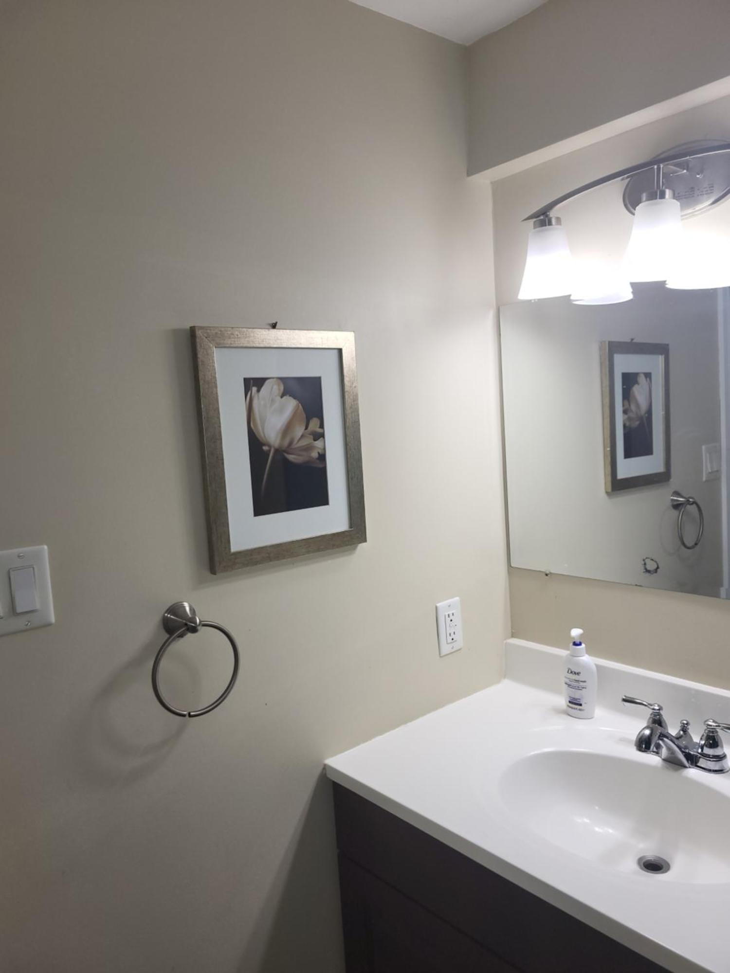 Lovely Guest Entire Apartment Minutes From Ottawa Airport Exterior foto